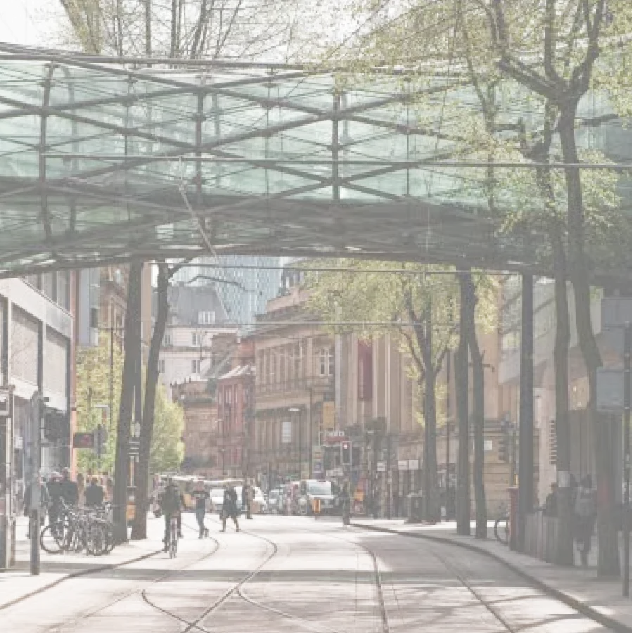 People walking along a tree-lined street in central Manchester.
